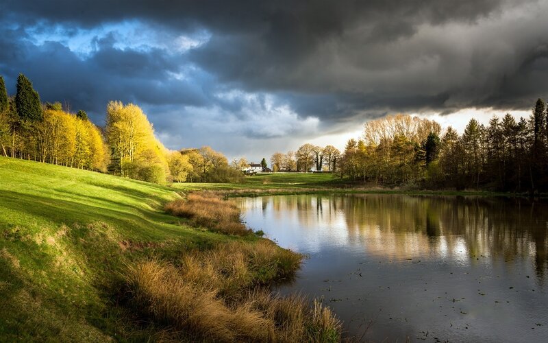 Pond in Autumn Landscape — Green, Dramatic