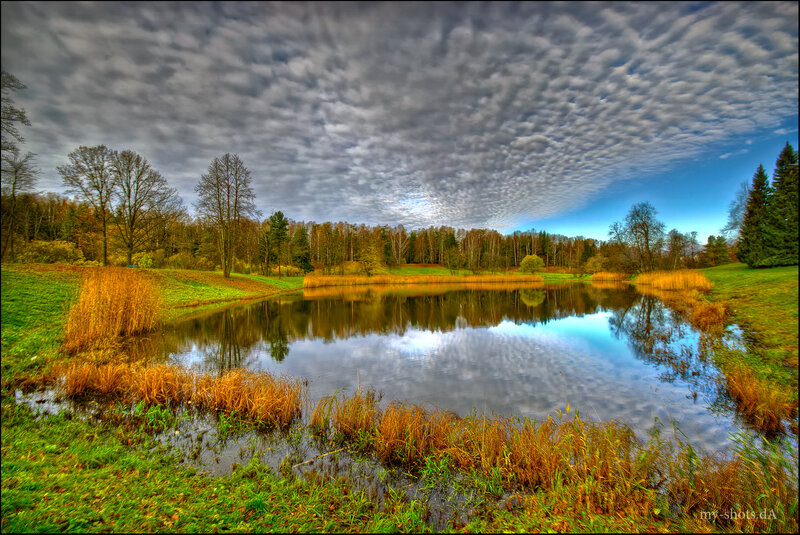 Pond in Autumn Landscape — Green