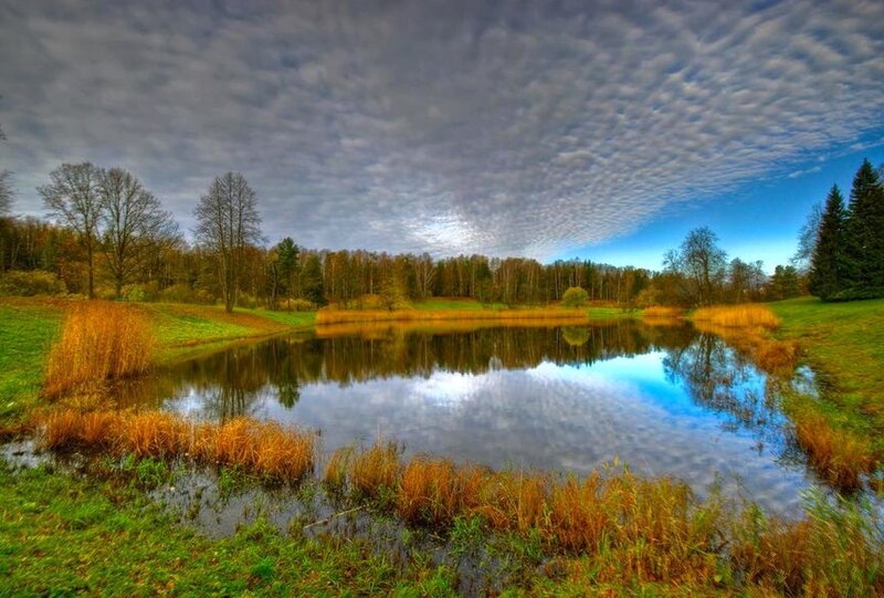 Pond in Autumn Landscape