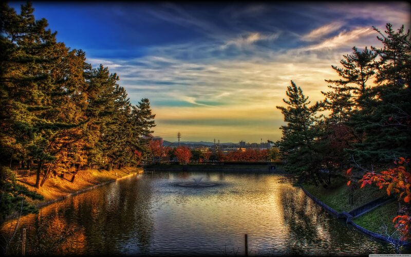 Pond in Autumn Park — Blue