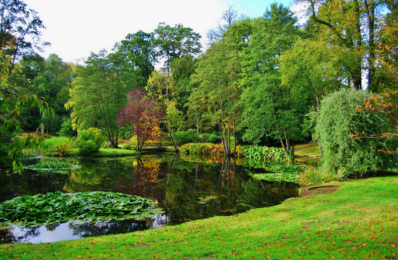 Pond in Autumn Park — Green