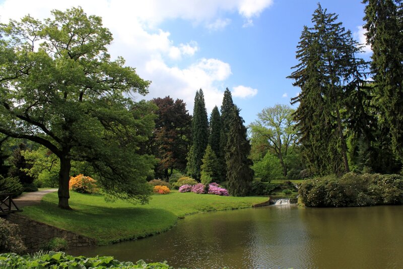 Pond in Botanical Garden — Green, Serene, Afternoon, Photograph, Trees