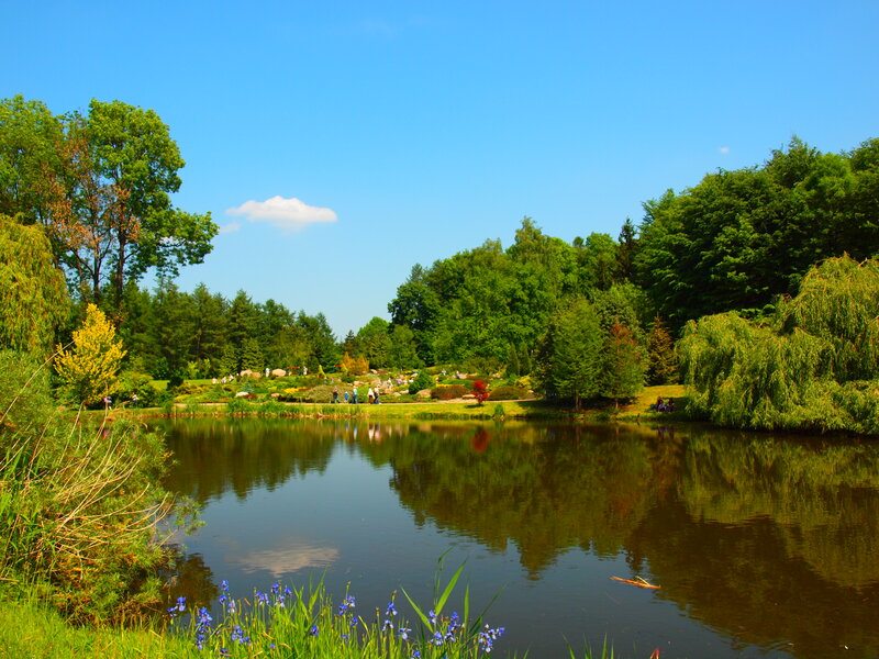 Pond in Botanical Garden — Green, Serene