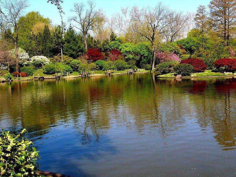 Pond in Botanical Garden — Green