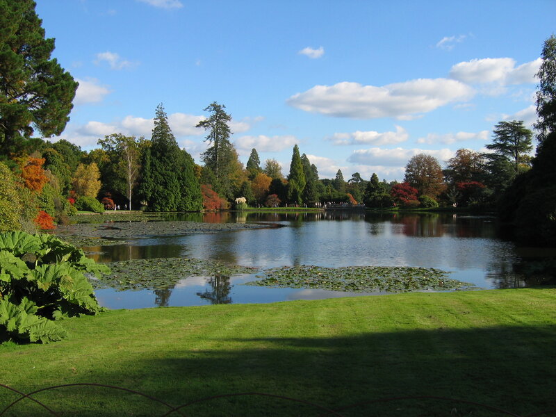 Pond in Botanical Garden