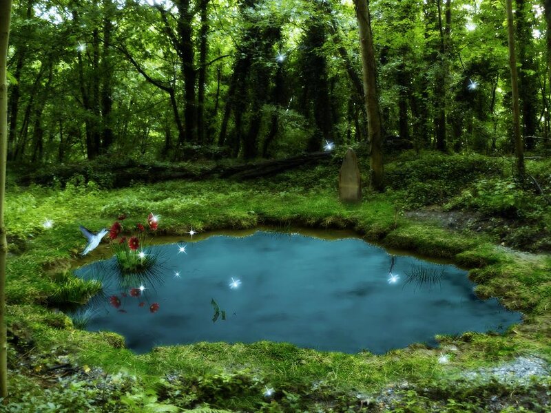 Pond in Forest Clearing — Green, Serene, Afternoon