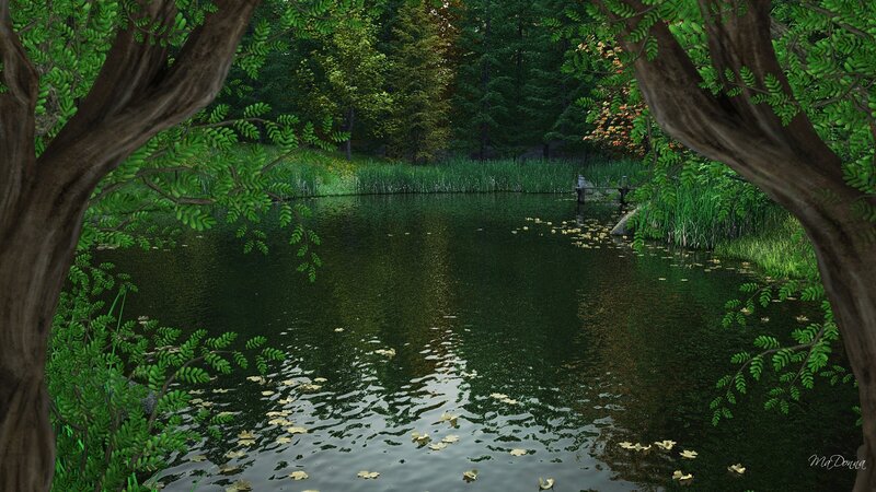 Pond in Forest Clearing — Green, Serene