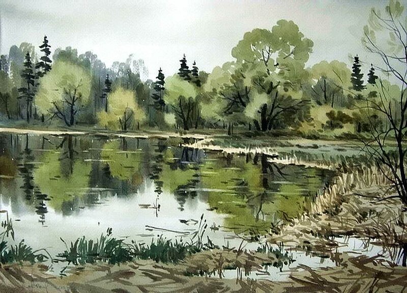 Pond in Forest Landscape — Green