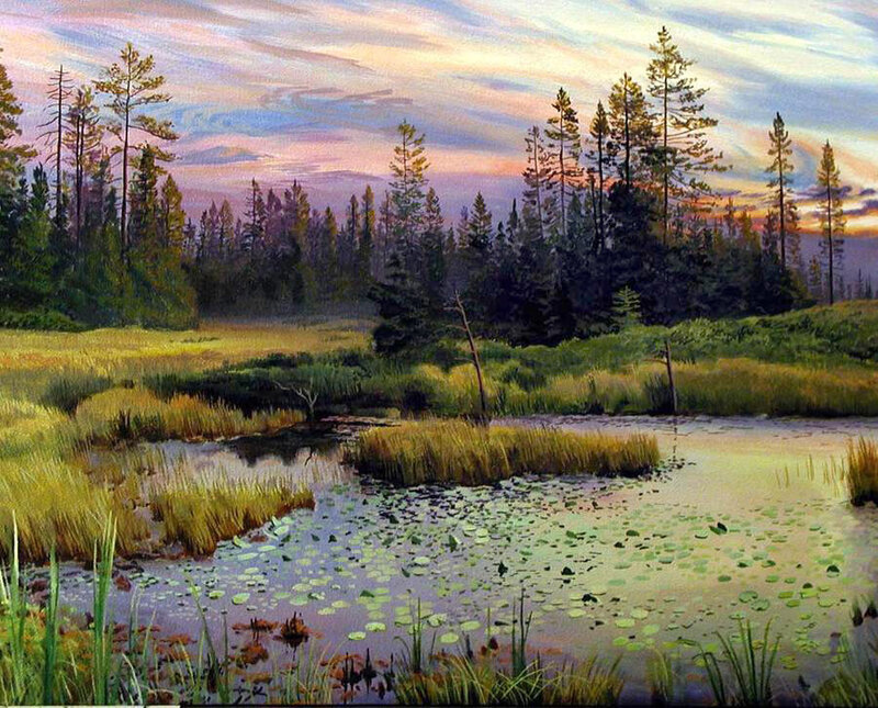 Pond in Forest Marsh