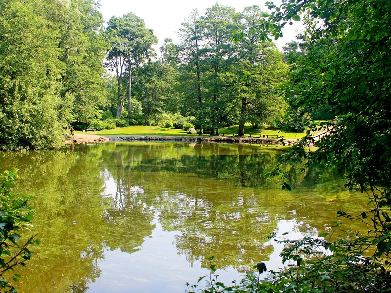 Pond in Forest Park — Green, Serene