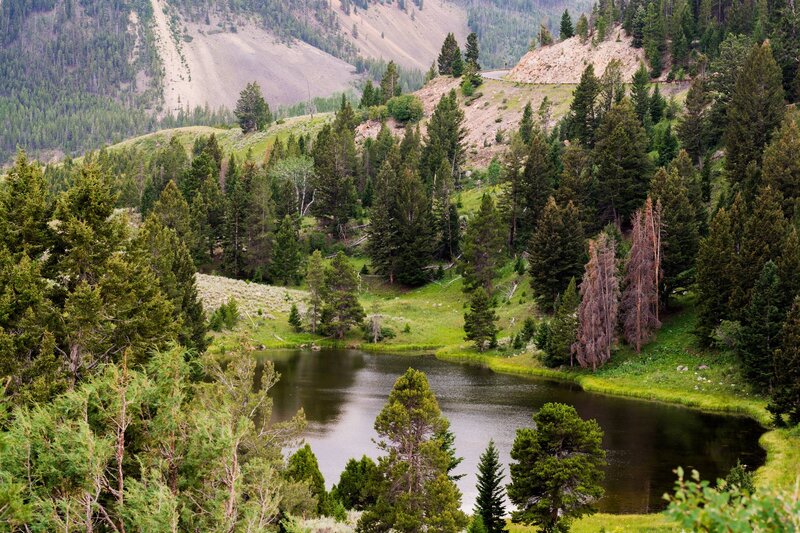 Pond in Forested Valley