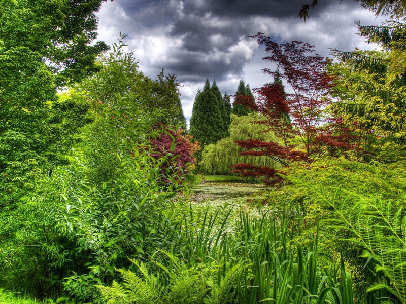 Pond in Garden — Green