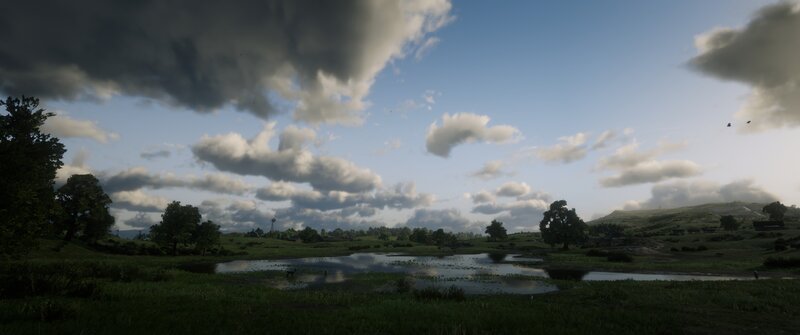 Pond in Grassy Field — Green, Serene