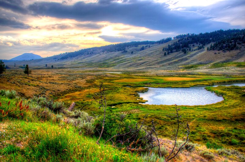 Pond in Grassy Valley