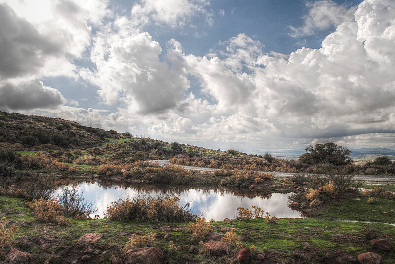 Pond in Hilly Landscape