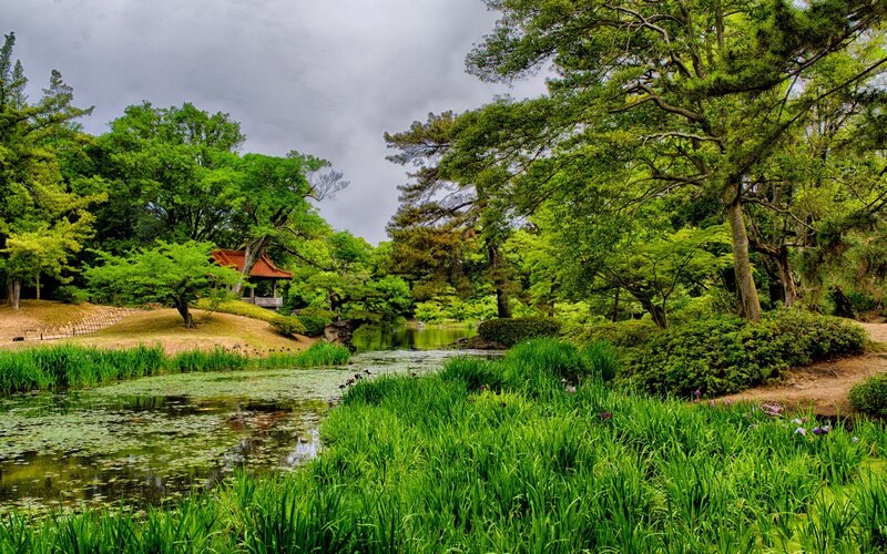Pond in Japanese Garden — Green, Serene