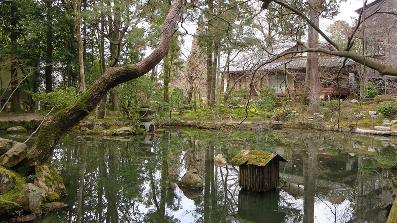 Pond in Japanese Garden — Green