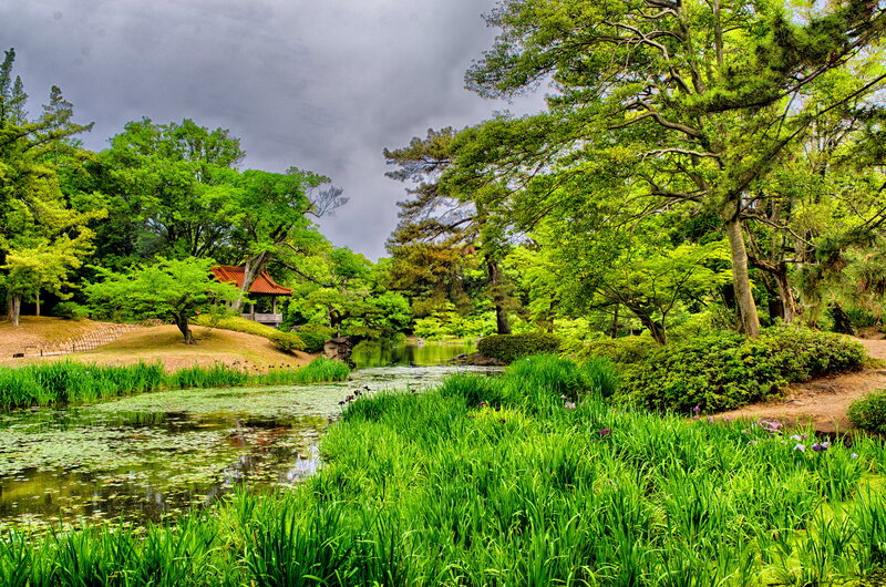 Pond in Japanese Garden