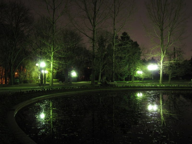 Pond in Park at Night
