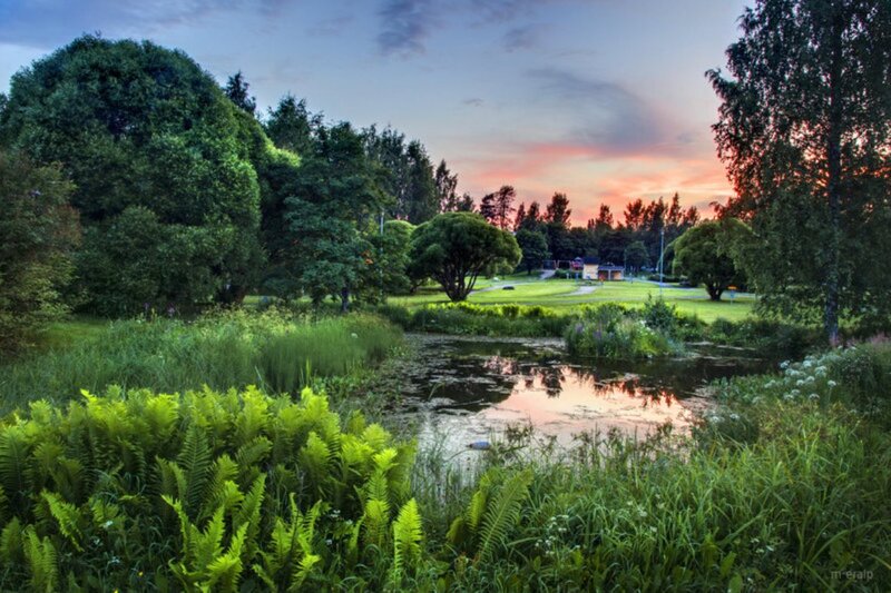 Pond in Park at Sunset