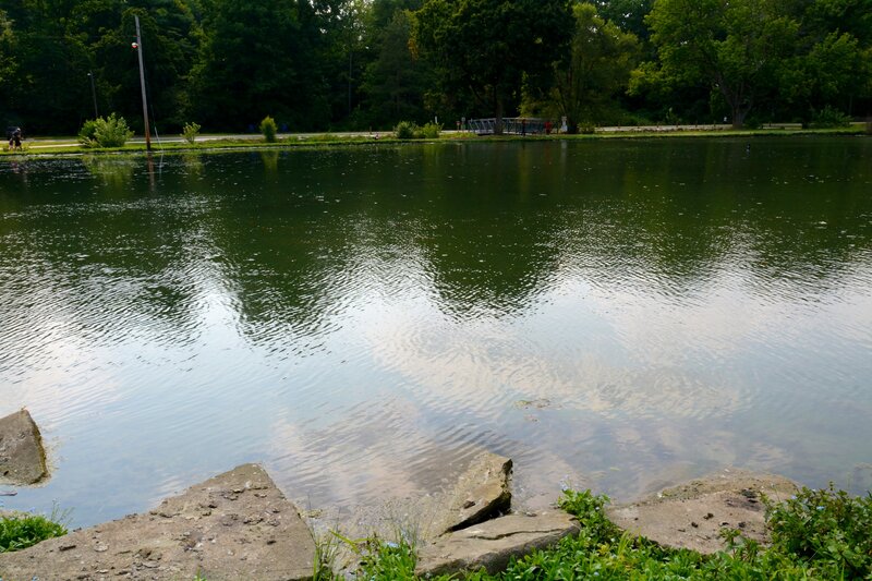 Pond in Park — Green, Calm, Afternoon