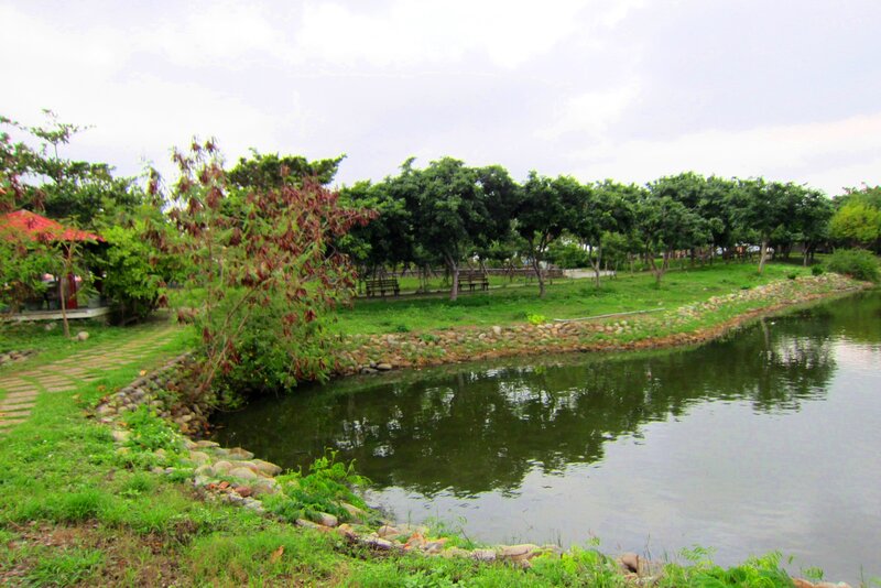 Pond in Park — Green, Calm