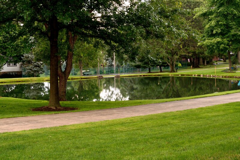 Pond in Park — Green, Serene, Afternoon, Photograph, Tree, Path