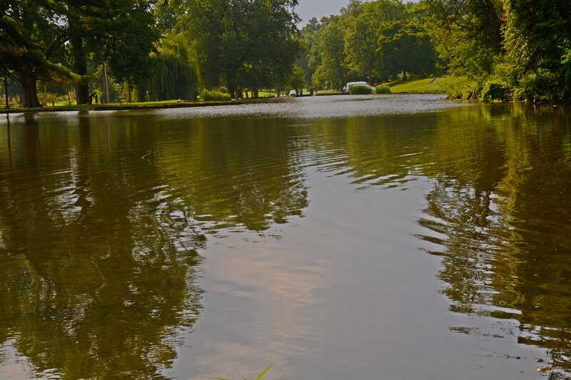 Pond in Park — Green, Serene, Afternoon, Photograph, Trees, Car