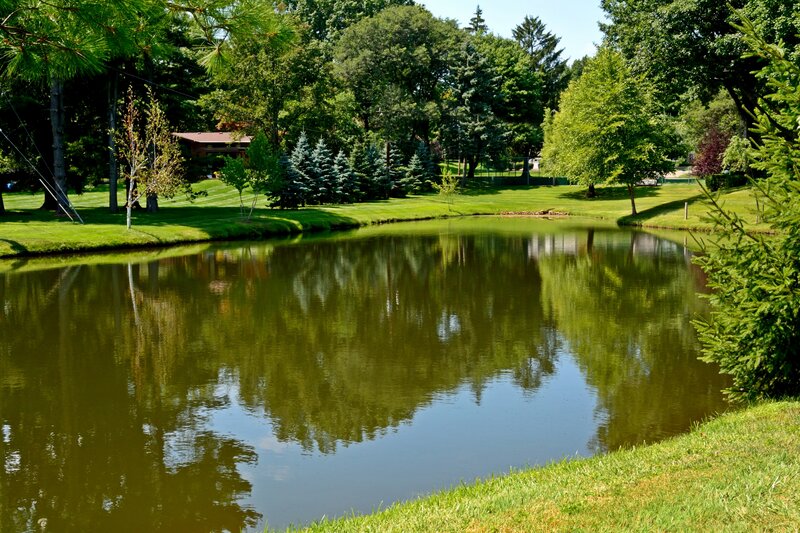 Pond in Park — Green, Serene, Afternoon, Photograph, Trees, Grass, Building