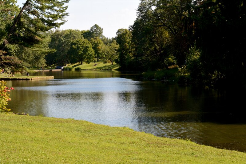Pond in Park — Green, Serene, Afternoon, Photograph, Trees, Grass, Car