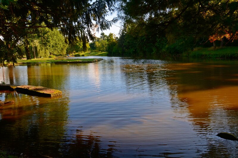 Pond in Park — Green, Serene, Afternoon, Photograph, Trees, Grass, Rocks