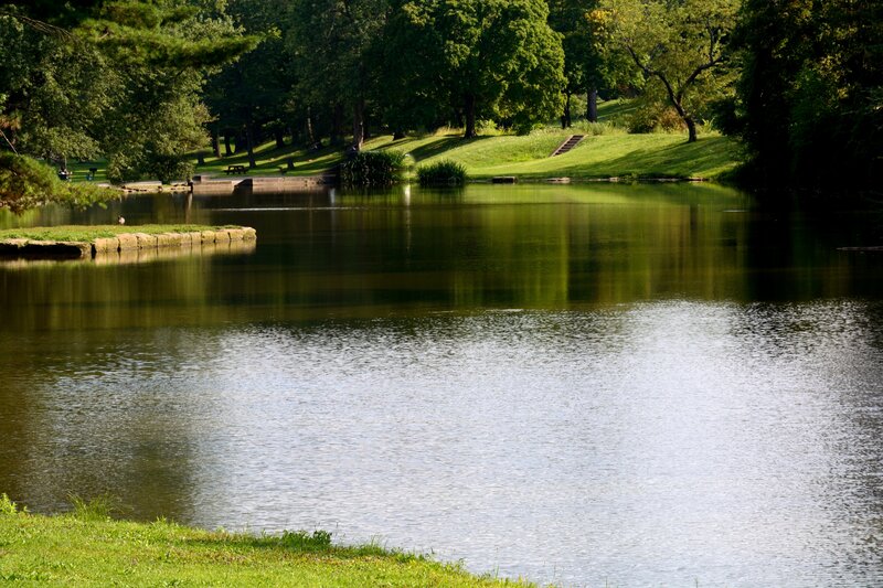 Pond in Park — Green, Serene, Afternoon, Photograph, Trees, Grass, Steps