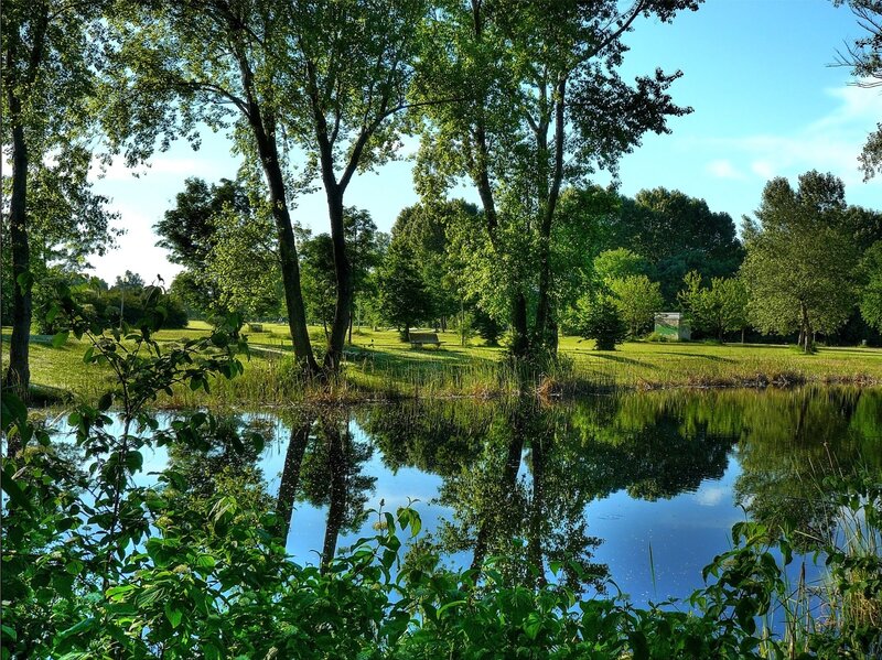Pond in Park — Green, Serene, Afternoon