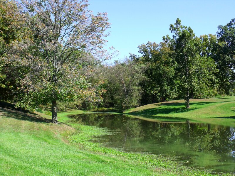Pond in Park — Green, Serene