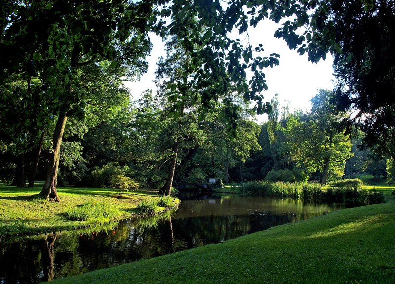 Pond in Park — Green