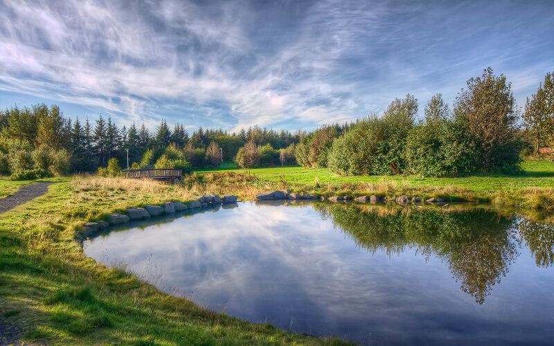 Pond in Park Landscape — Blue