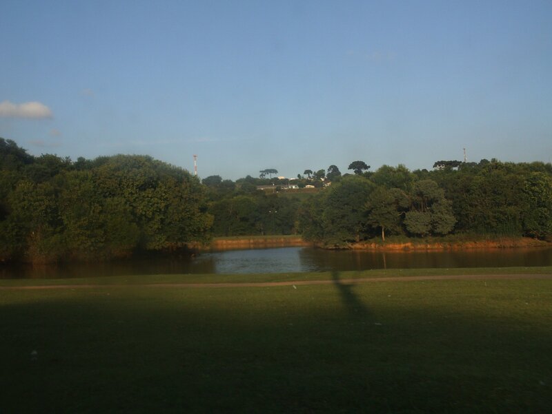 Pond in Park Landscape