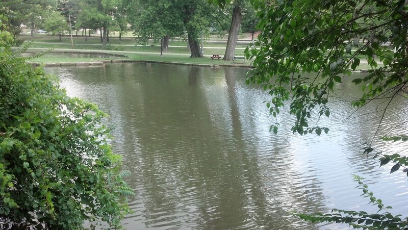 Pond in Park
