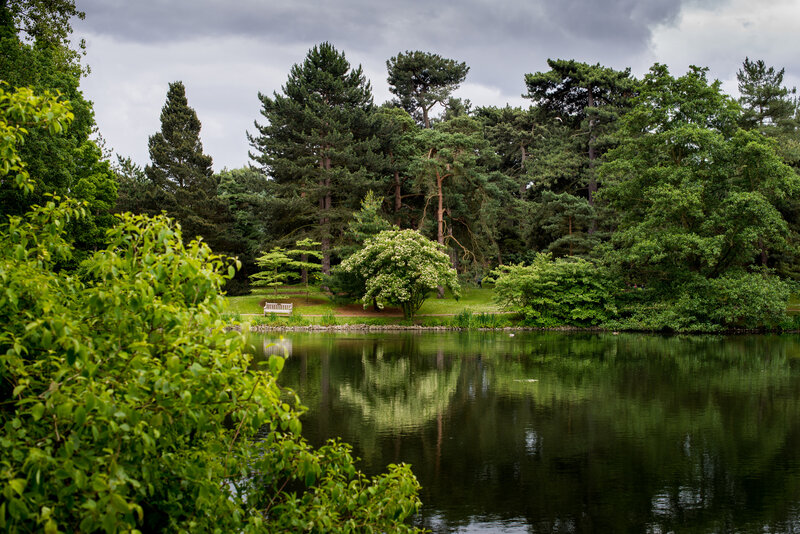 Pond in Park with Bench