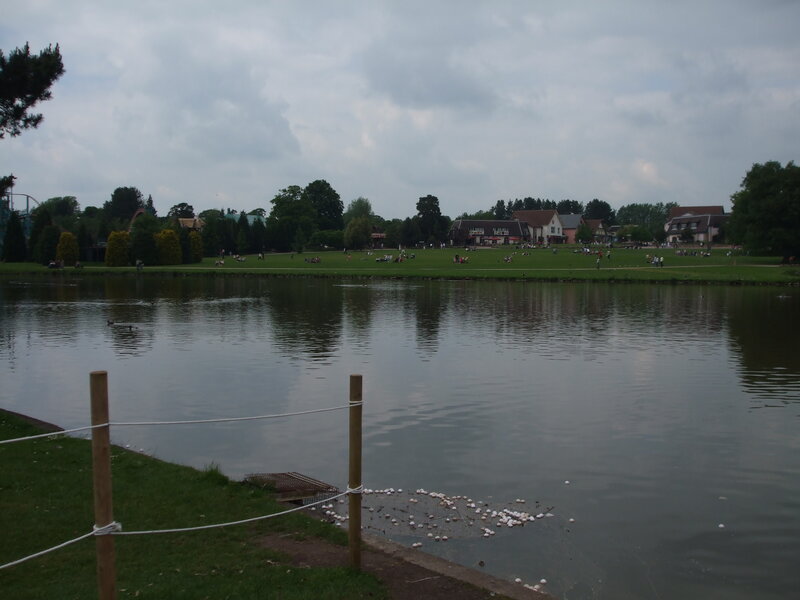 Pond in Park with People