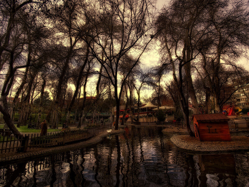 Pond in Park with Trees — Brown, Dramatic