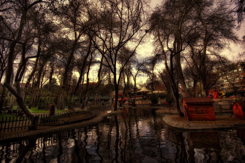 Pond in Park with Trees — Brown