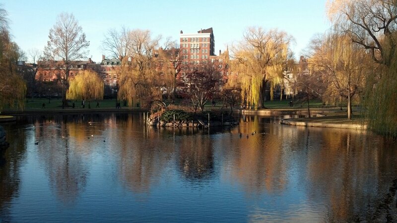Pond in Public Park