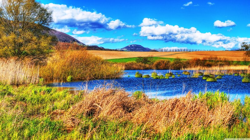 Pond in Rural Landscape — Blue, Serene