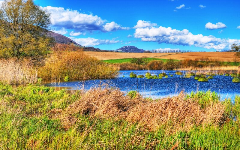 Pond in Rural Landscape — Blue
