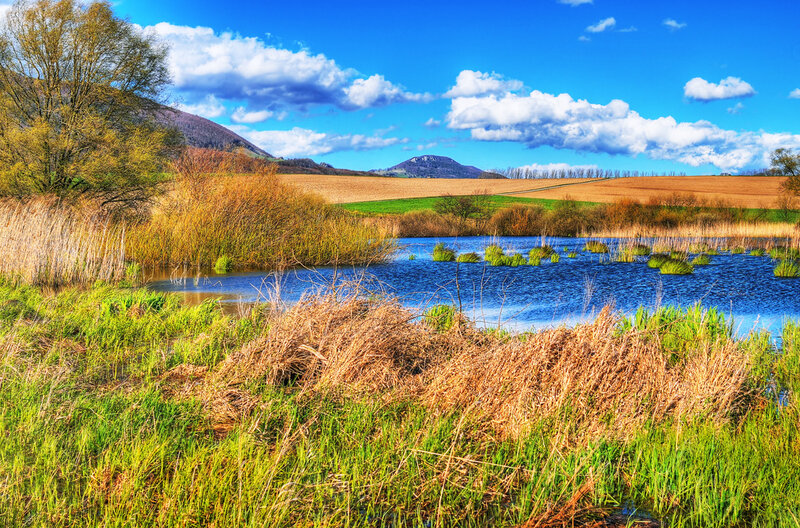 Pond in Rural Landscape