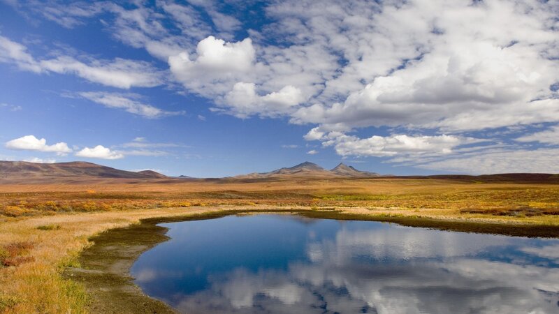 Pond in Tundra Landscape — Blue