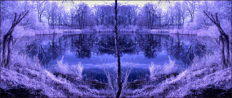 Pond in Winter Forest