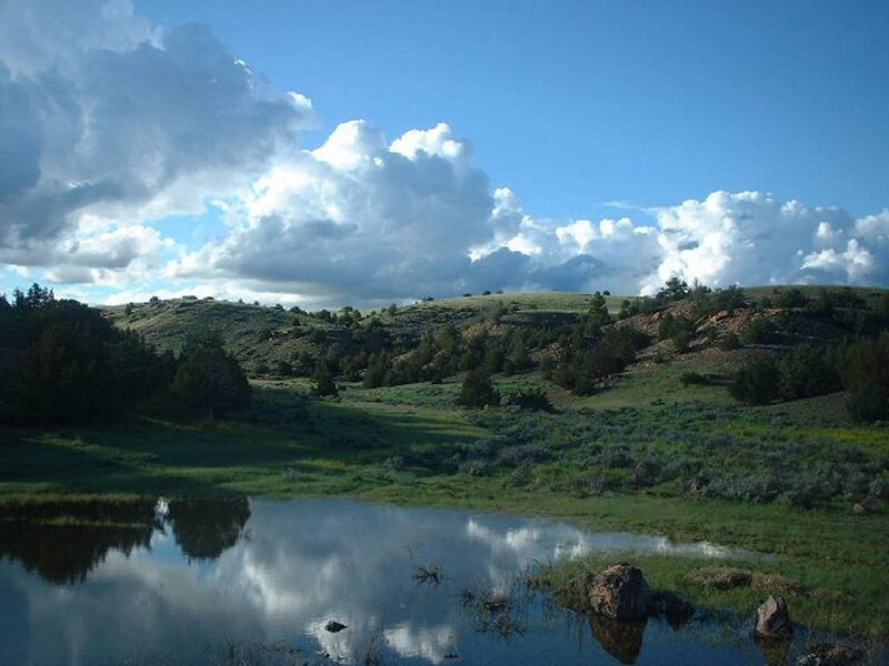 Pond Reflecting Clouds