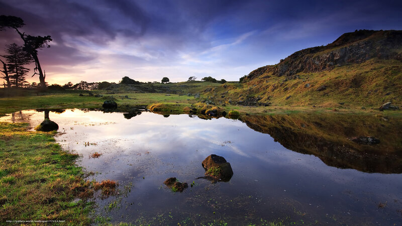 Pond Reflecting Sky — Blue, Serene